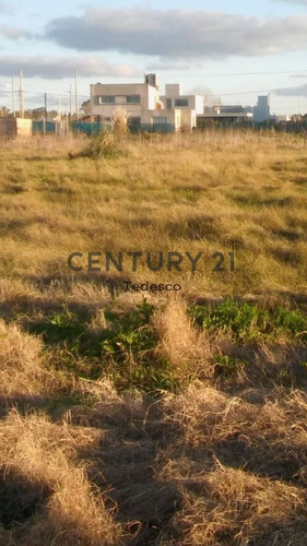 Imagen 4 de 5 de 3 Esquina 489.. Lote En Venta, Gonnet.