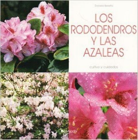 Azaleas Y Redodendros . Eleccion Y Cuidados