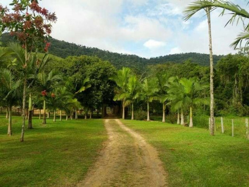 Imagem 4 de 30 de Sitio Em Camboriú - Aceita Permuta Em Balneário Camboriu 15mil M² - T102 - 3285723