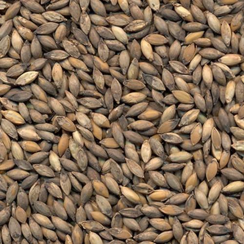 Semente De Manual De Saco Sementes Sementes Decumbens De Unidade De 1 X 1 De 5kg