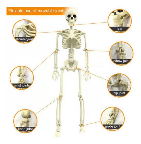 Colgante De Calavera Simulada, Decoración De Fiesta