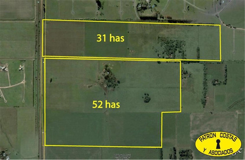 0976hp- 83 Ha (52 Ha + 31 Ha) - Open Door-manzanares