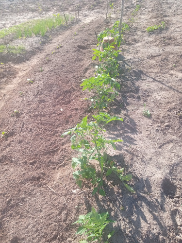 Área De Terra Com 12 Tarefas