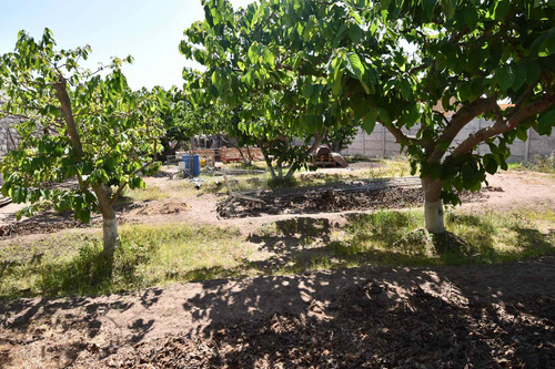 Venta, Terreno En La Serena.
