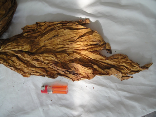 Imagen 3 de 8 de Tabaco En Hojas
