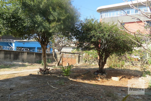 Imagem 3 de 7 de Lote À Venda No Cachoeirinha - Código 276482 - 276482