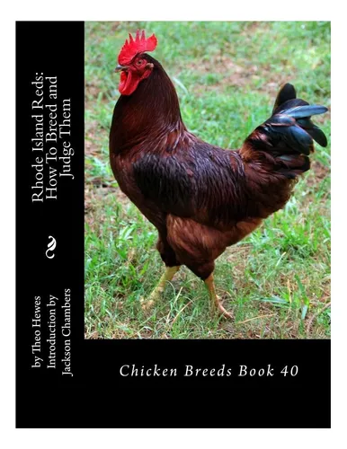 comprar Libro: Rojos De Rhode Island: Cómo Criarlos Y Juzgarlos: Lib