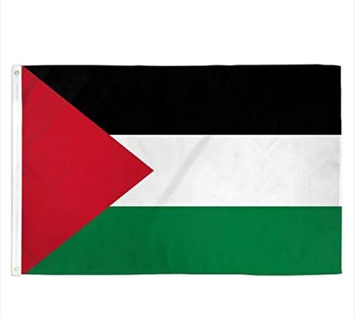 Bandera De Palestina 90 X 60 Cm