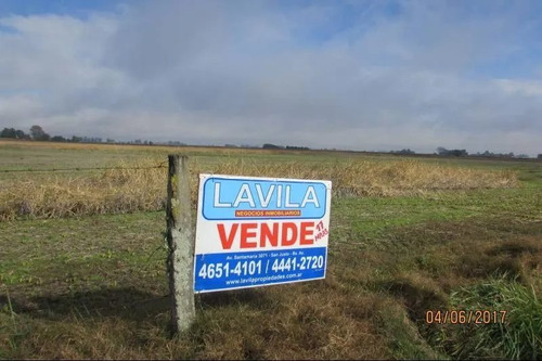 Imagen 2 de 9 de Campo En Venta En Chacabuco