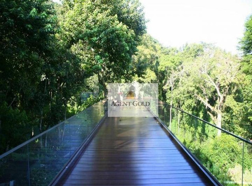 Imagem 26 de 30 de Casa Com 7 Dormitórios À Venda Por R$ 70.000.000,00 - Jardim Botânico - Rio De Janeiro/rj - Ca0388