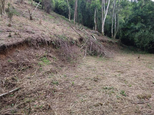 Imagem 6 de 6 de Terreno À Venda, 600 M² Por R$ 150.000,00 - Itaipu - Niterói/rj - Te0123