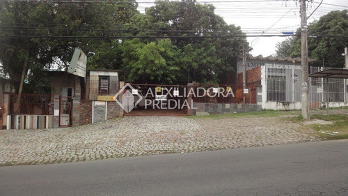 Imagem 6 de 11 de Terreno - Protasio Alves - Ref: 237184 - V-237184