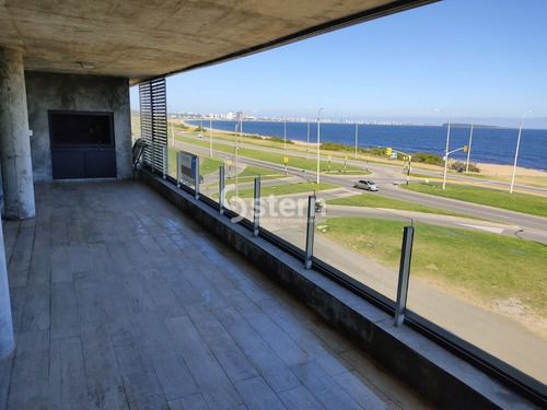 Imagen 5 de 30 de Venta Apartamento Penthouse, 2 Dormitorios, Pinares, Punta Del Este