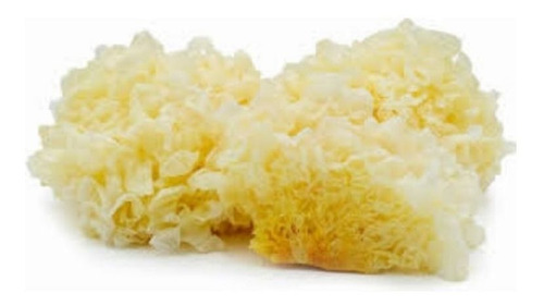 Hongos Secos Tremella X 100 G