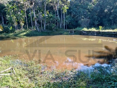 Imagem 2 de 25 de Chácara Rica Em Água Com Nascente Própria E Lindo Lago Piscoso Localizada Em Juquitiba/sp. - 325 - 69538550