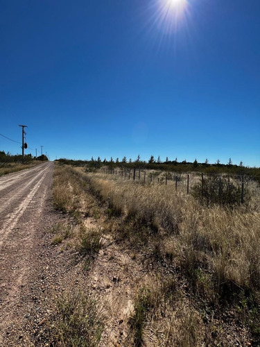 Imagen 6 de 8 de Terreno En Venta En Parque Ecologico