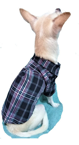 Camisa Para Perro Gato Chihuahua Pug French Yorkie Mascota