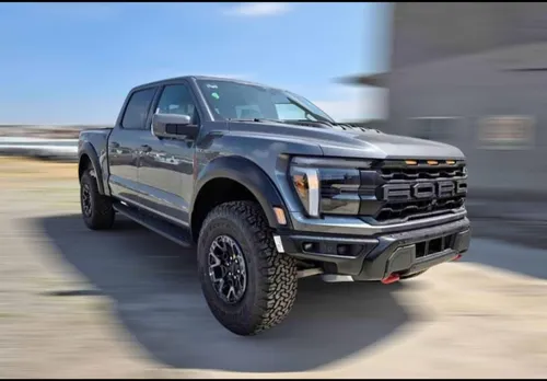 Lobo Raptor R