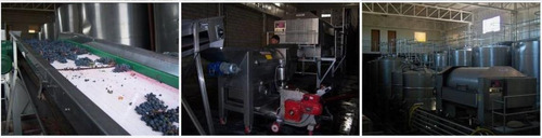 Imagen 4 de 4 de Bodega - Barrancas