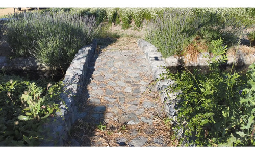 Parcelas Agroresidenciales Exclusivas En Curico Sector Rauco