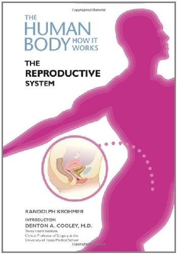 The Reproductive System (human Body How It Works)