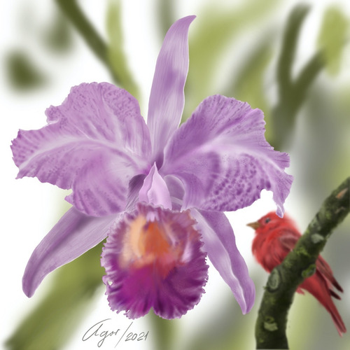 Papel De Calidad Cattleya Trianae, Maestro Agor