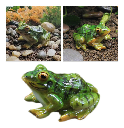 Estatua De Paisaje De Rana Sapo Sapos Anfibios Ranas