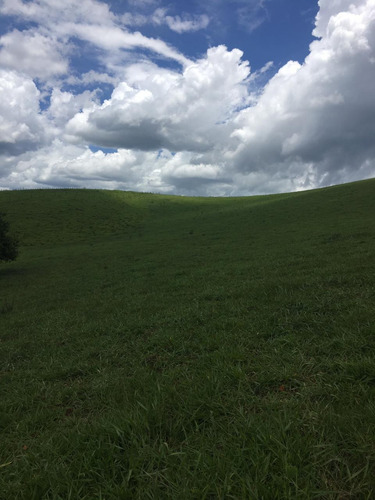 Z23-mega Oferta De Terreno Pra Vc !!10000m2 Em Igarata