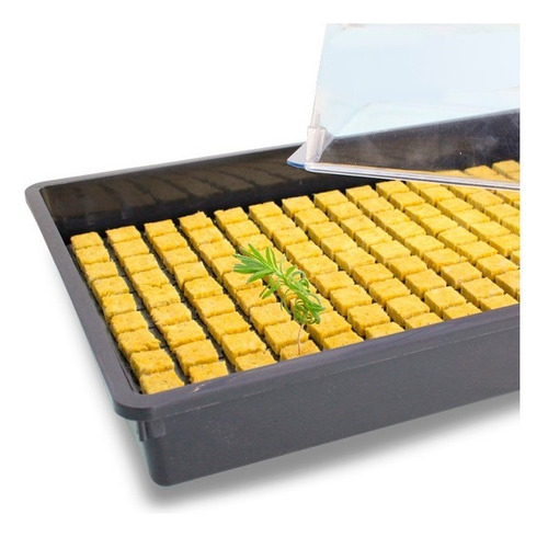 Atencion ! Oferta! Propagador Germinador Invernadero Detalle