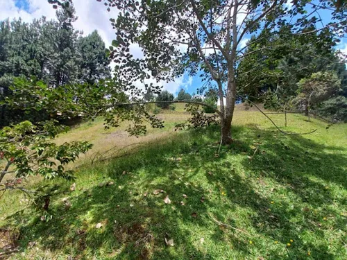 Lotes En Venta El Retiro 743-7555