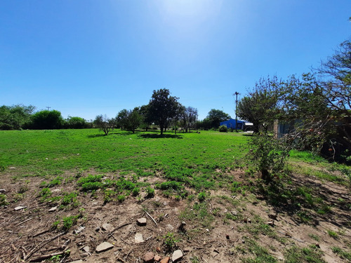 Gran Lote De 5800 Mt² En Avenida Alvarez Y Reynoso