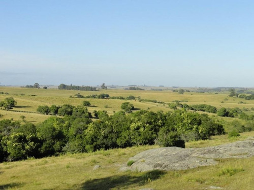 Campo En Venta En Garzón Rural