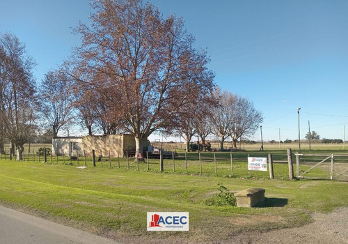Venta - Terreno - Oliveros