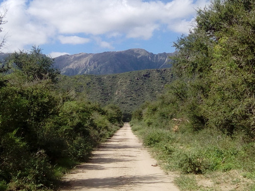 Imagen 5 de 30 de Paraíso Escondido , Campo De 78 Hectareas, En Venta En San Luis, Al Pie De Las Sierras Altas, Valle, Vista Única, Con Río Al Fondo , Bosque Nativo, Realmente Unico,,,para Mudarte Y Cambiar De Vida