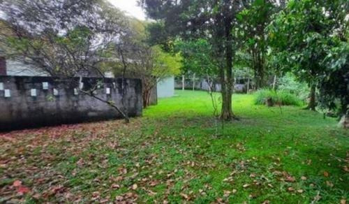 Imagem 7 de 14 de Chácara Rua Calçada Com Frutas Em Itariri | Aceita Financiar