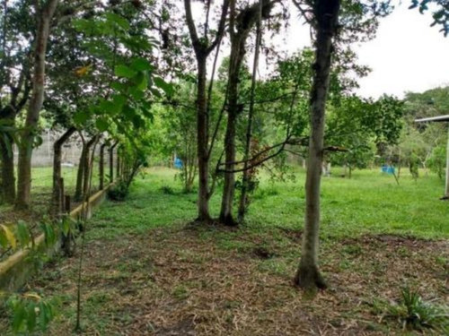 Imagem 9 de 14 de Chácara No Litoral Com 03 Dormitórios Em Itanhaém/sp | 7634-