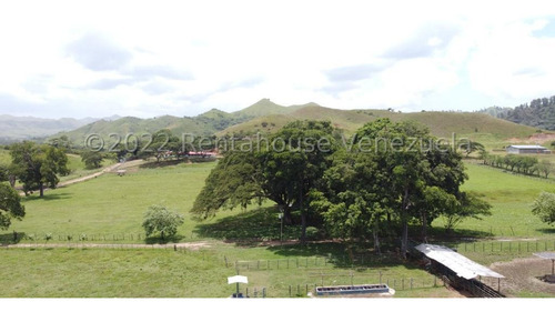 Julio Latouche 25-16896 Finca Ganadera En Venta Carabobo, 267 Hectáreas, Casa Principal De 550 Mts2, Dos Lagunas Para Riego.