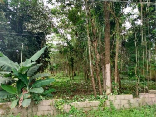 Imagem 9 de 9 de Terreno De Chácara No Bairro Jardim Aguapeú, Em Itanhaém, Com 2.500 M² De Área Total