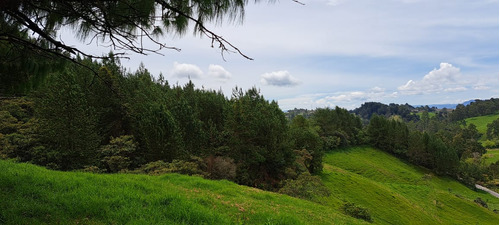 Terreno Para Venta En San Felix Bello Via San Pedro