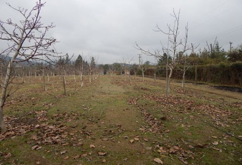 Quilpue, Hermosa Parcela