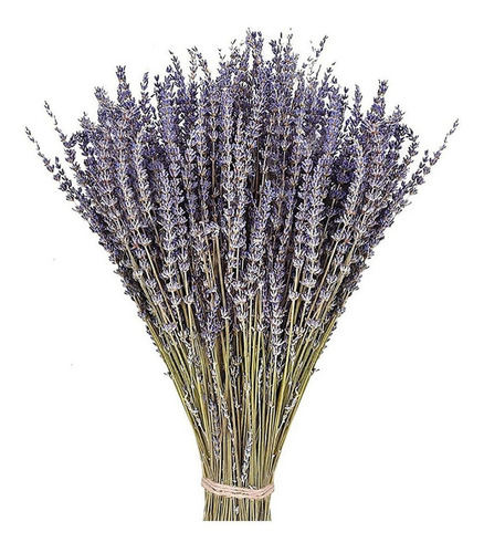 Flores Decorativas De Lavanda Secas, 50 Unidades