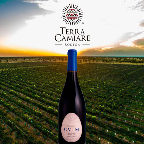 Vino Socavones Ovum Reserva Cabernet Franc 750ml