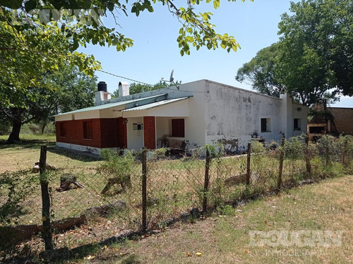 Imagen 2 de 27 de Campo - Punta De Agua