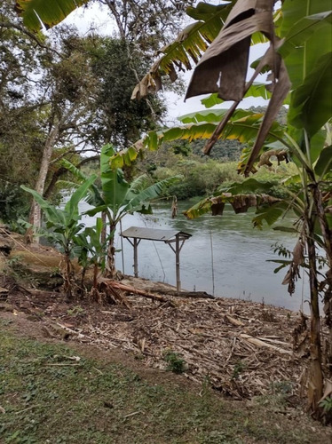 Imagem 6 de 30 de Chácara Para Venda - Figueira Grande, Santa Branca - 10000m² - 2579