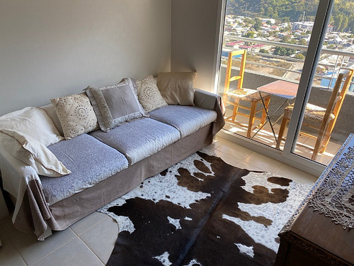 Arriendo Departamento Concepción