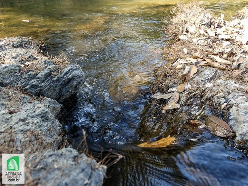 Venda Chacaras Lazer Com Acesso Ao Rio Verdinho Paisagem Paradisíaca - 5006