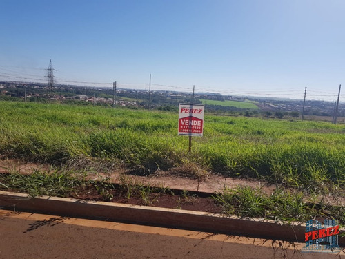 Imagem 2 de 13 de Terrenos Para Venda - 13650.5633