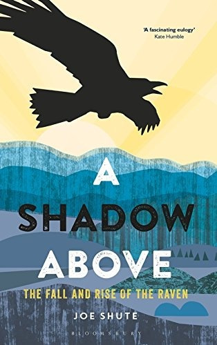 A Shadow Above The Fall And Rise Of The Raven