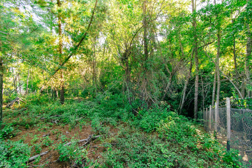 Parcela 5.000 M2 Trupán Comuna Tucapel - Región Bio Bio