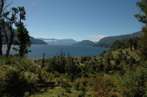 Patagonia /terreno Isla Magdalena Para Proyecto Turistico.